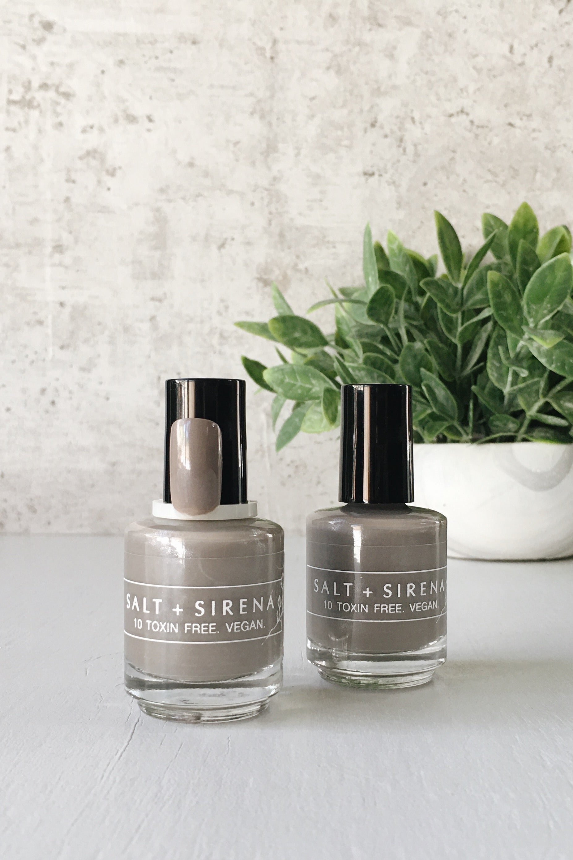 Ten Toxin-Free Nail Polish - Taupe Sleeping Bear