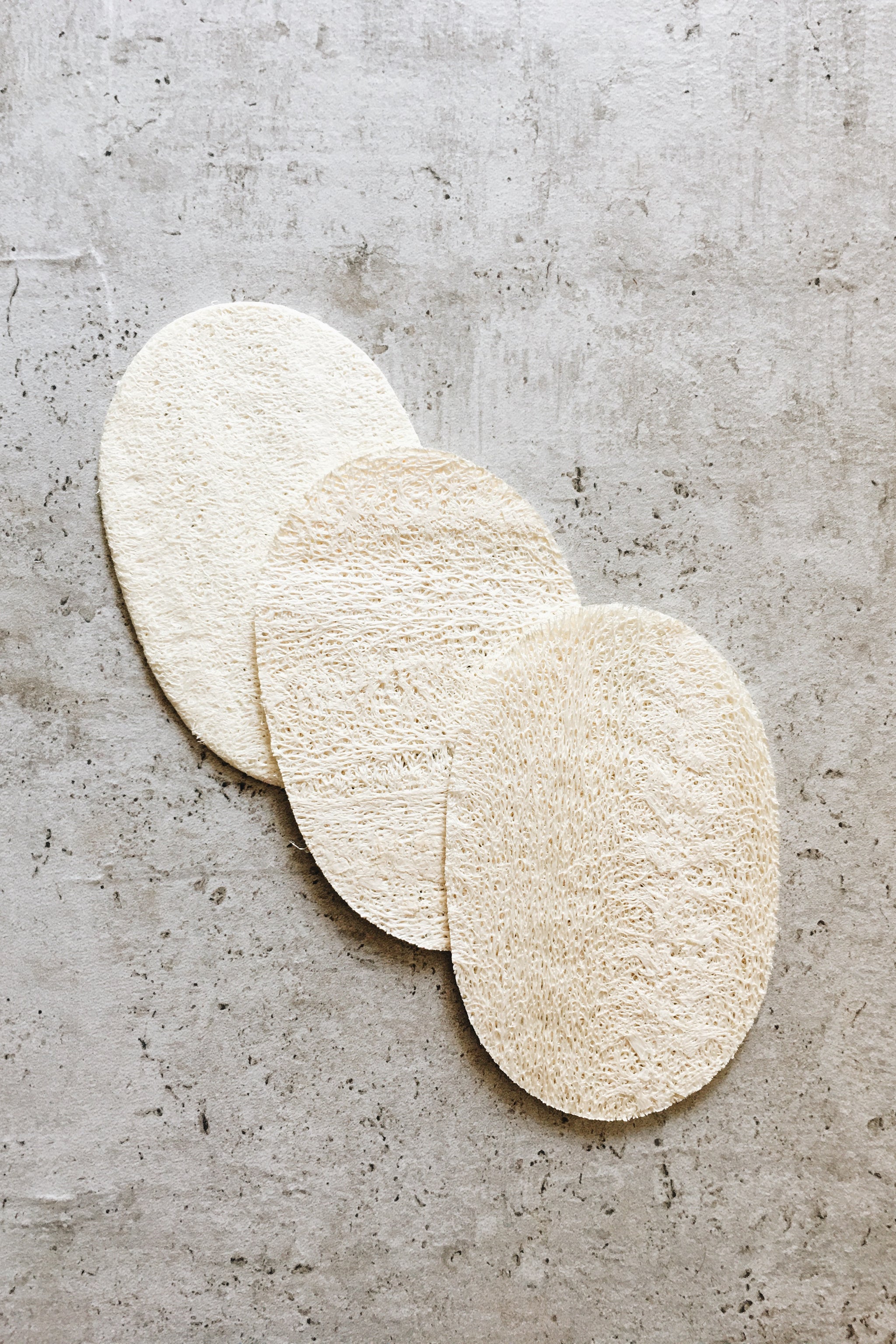 Dish Washing Eco-Sponge (3 pack)