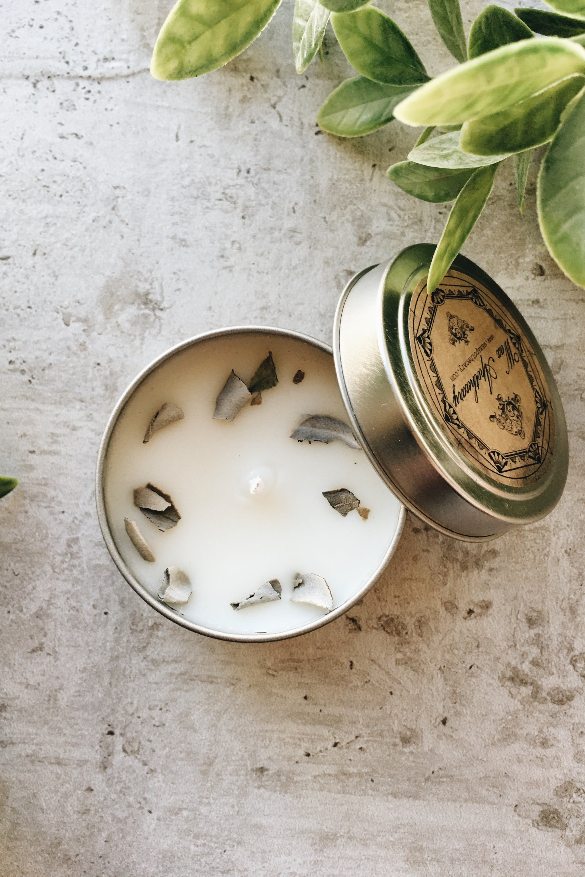 Cotton Wick Candle - White Sage