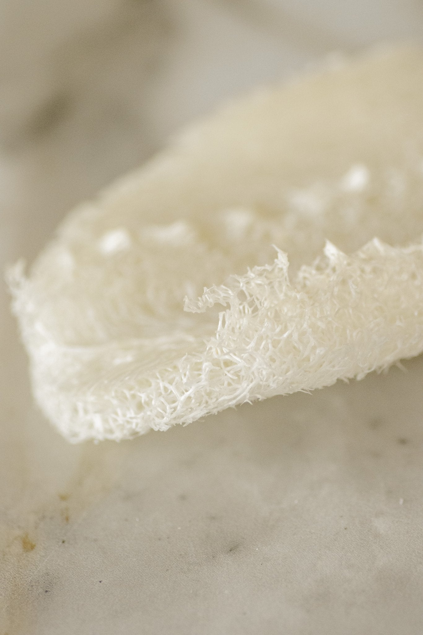 Dish Washing Eco-Sponge (3 pack)