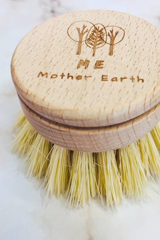 Beechwood Dish Brush (Refills Available)