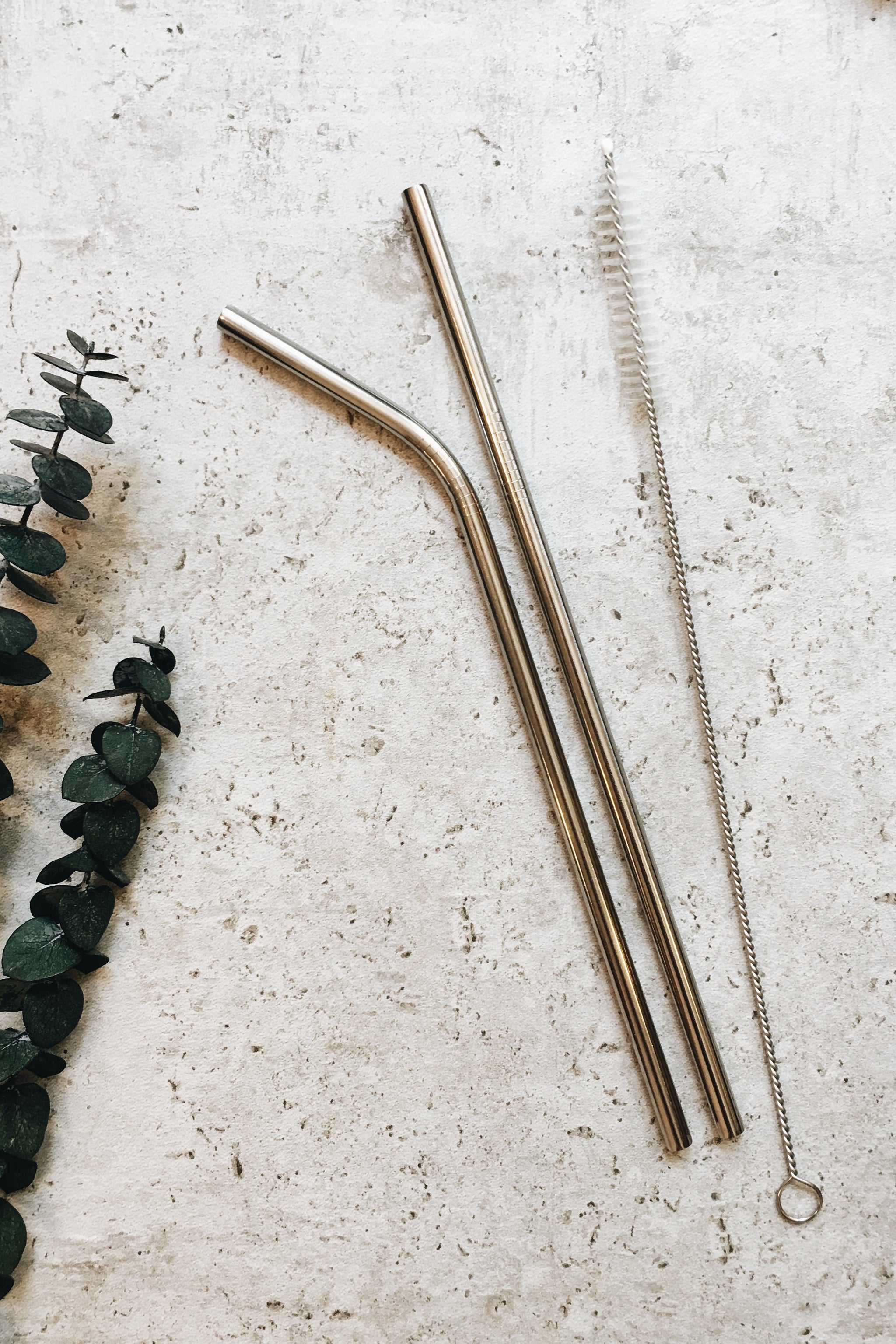 Metal Straws (2 pack + Brush Cleaner)