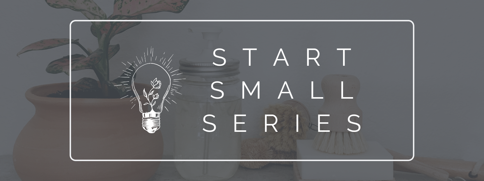 Let's Talk About Paper Towels