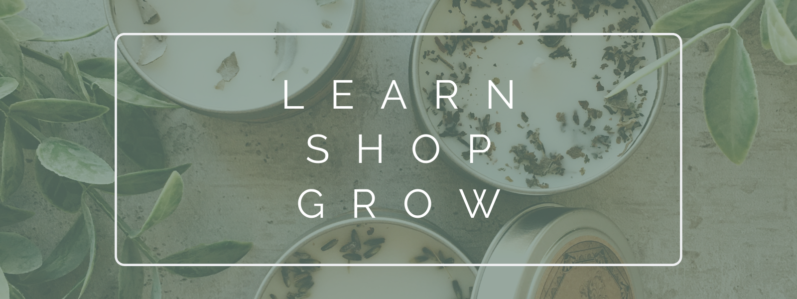 LEARN. SHOP. GROW. (Part I)